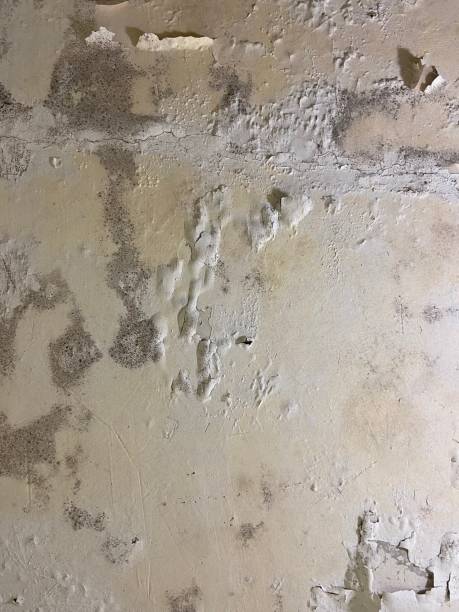 Water Damage Restoration in New London, MN